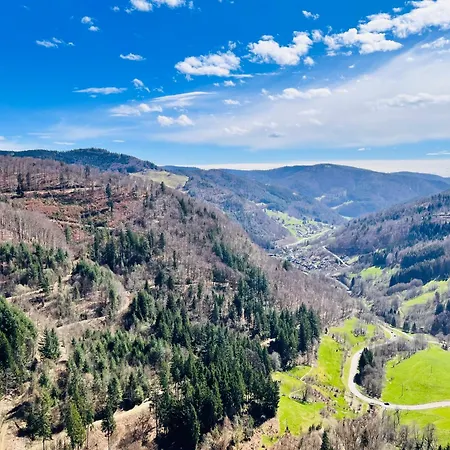 Apartman 2-zimmerapartment An Der Schweizer Grenze Albbruck